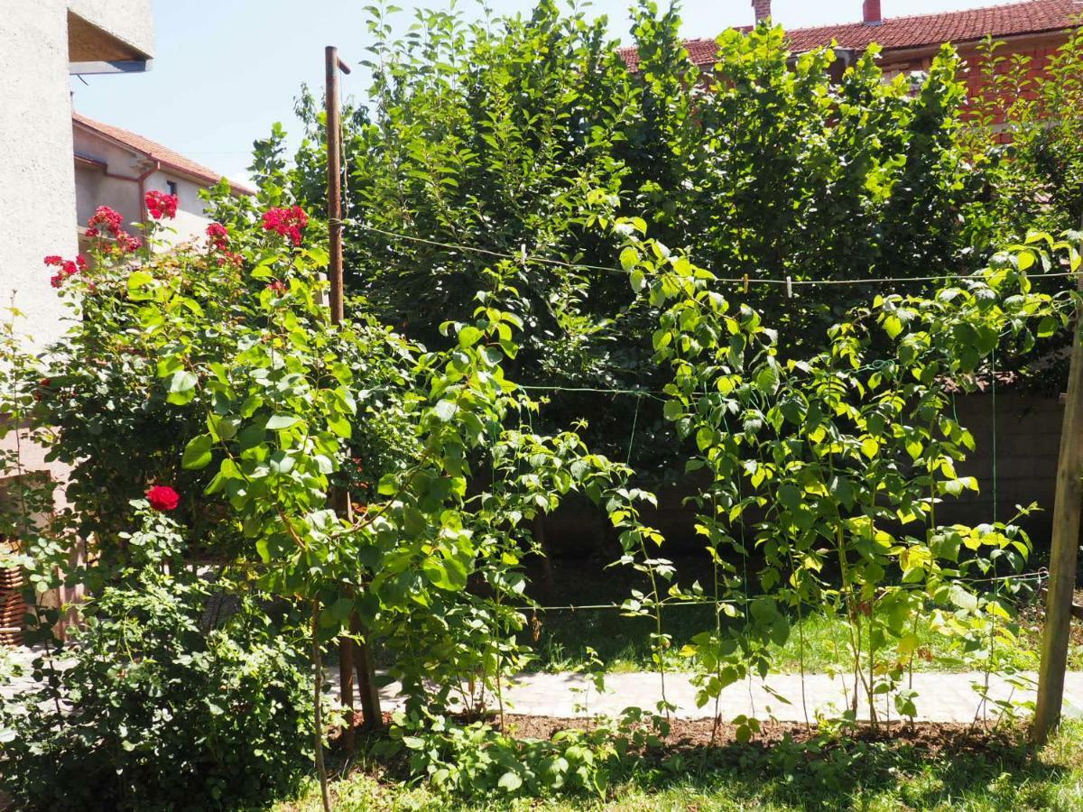 Guest House Stefanovic Vranje Eksteriør billede