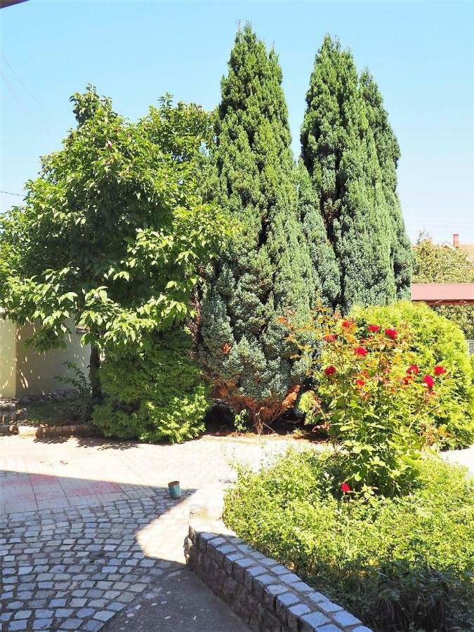 Guest House Stefanovic Vranje Eksteriør billede